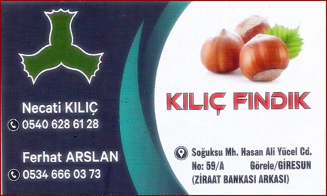 Kılıç Fındık